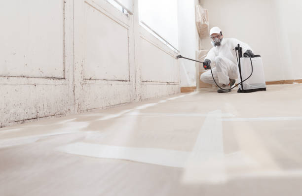 24/7 Emergency Mold Inspection experts in Hickory Corners, MI
